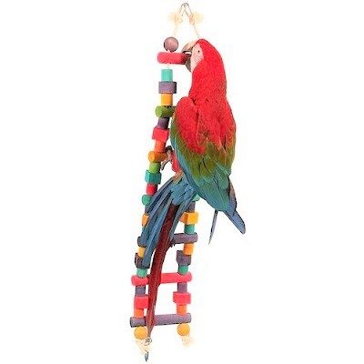 a&e bird toys