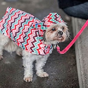 rc pet products raincoat